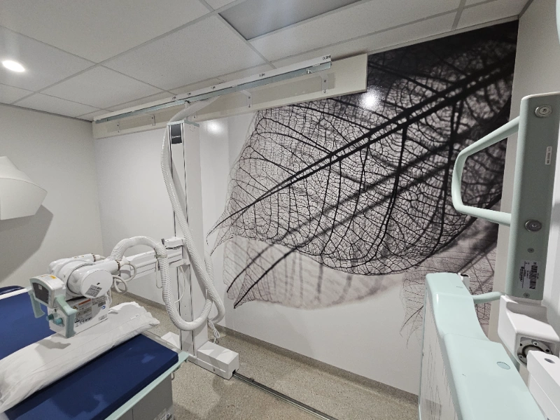 Corporate wallpaper signage Toowoomba – custom lettering